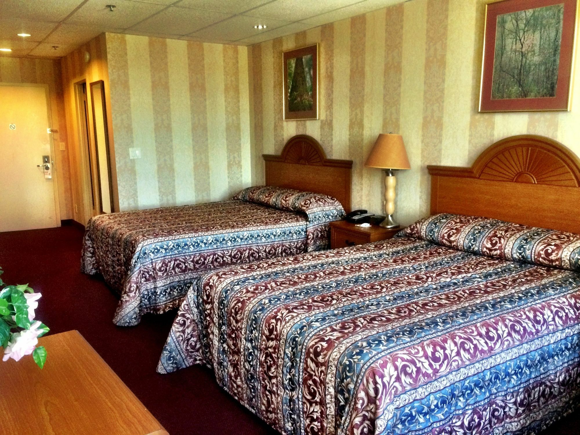 Amsterdam Hotel Stamford Eksteriør billede
